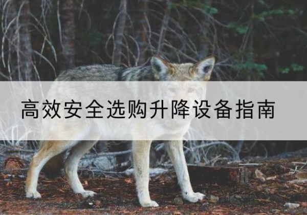 北碚区升降货梯厂家推荐-*安全选购升降设备指南