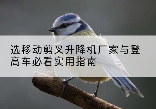 北碚区电动升降机厂家-选移动剪叉升降机厂家与登高车必看实用指南